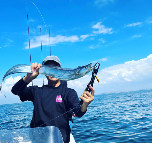 タチウオの釣果