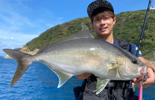 ヒレナガカンパチの釣果