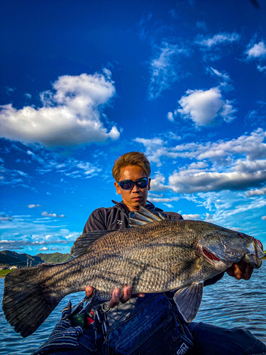 アカメの釣果