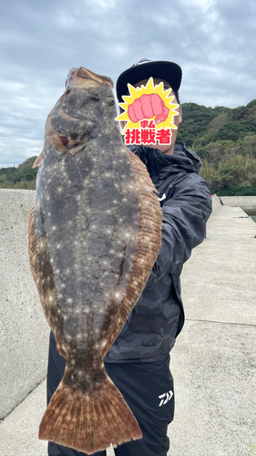 ヒラメの釣果