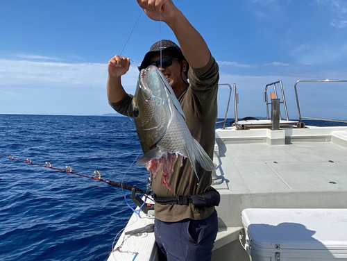 アオチビキの釣果