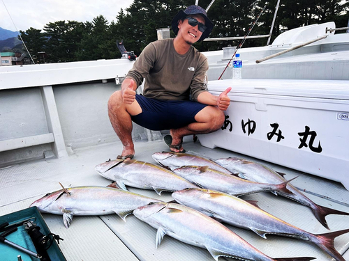 カンパチの釣果