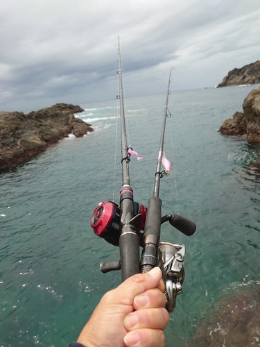 エソの釣果