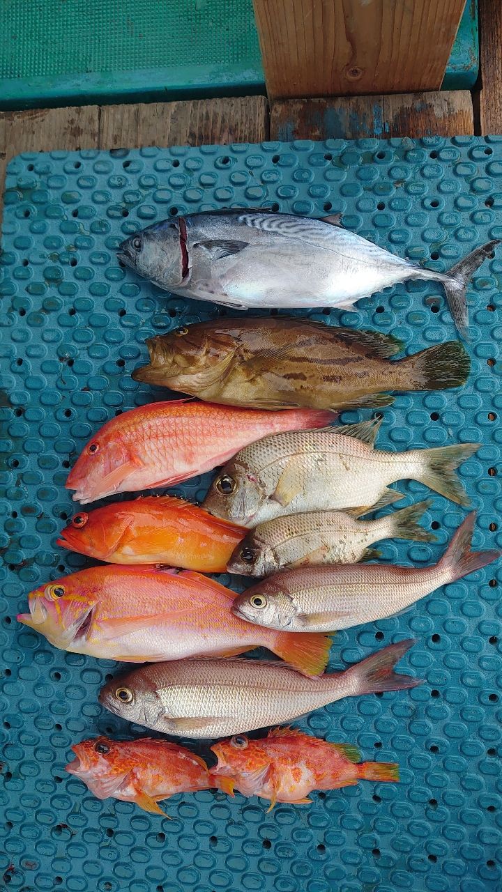 ごえもん☺さんの釣果 3枚目の画像