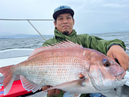 マダイの釣果