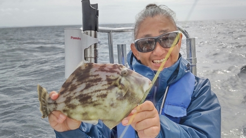 カワハギの釣果