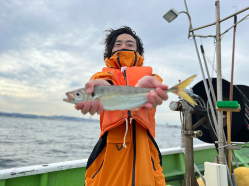 マアジの釣果