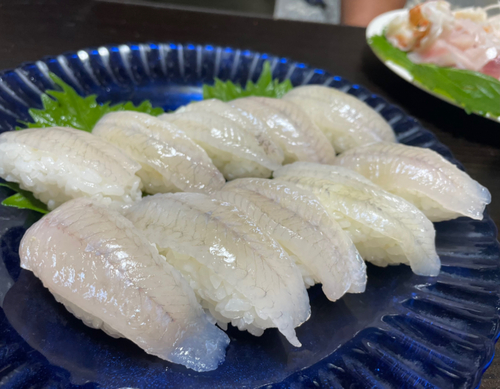 ハゼの釣果