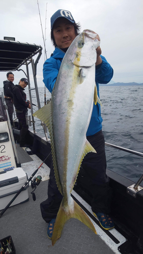 ヒラマサの釣果