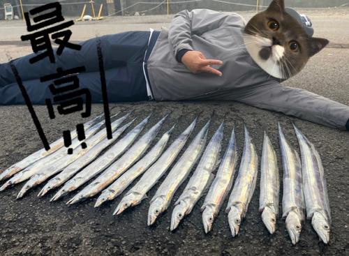 タチウオの釣果