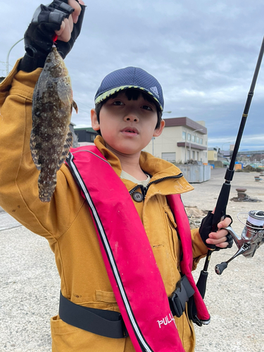 アイナメの釣果