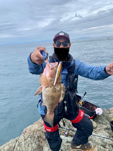 オオモンハタの釣果