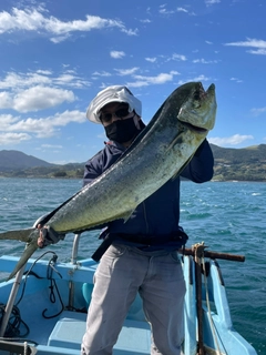 シイラの釣果