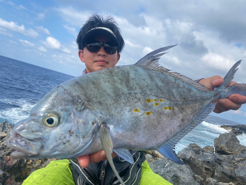 ナンヨウカイワリの釣果