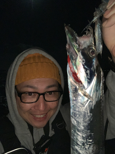 タチウオの釣果