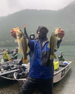 ブラックバスの釣果