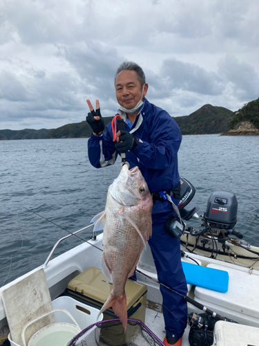 マダイの釣果