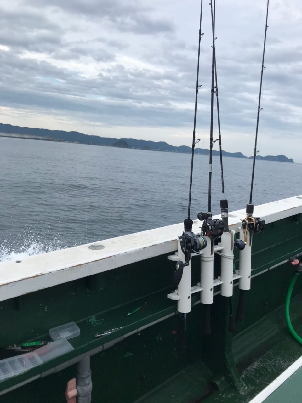 海パンさんの釣果 3枚目の画像