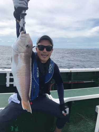 シロアマダイの釣果