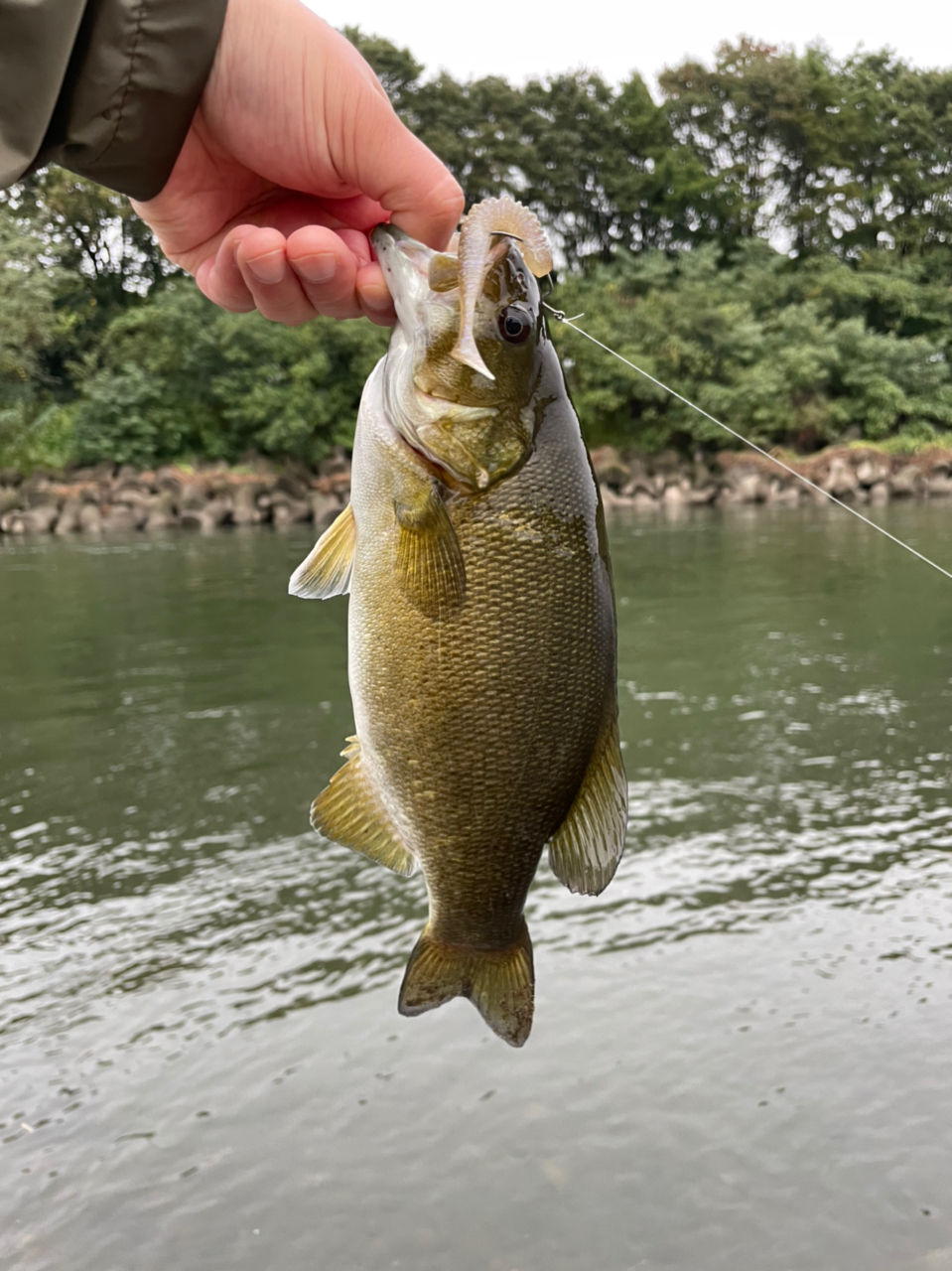 スモールマウスバス