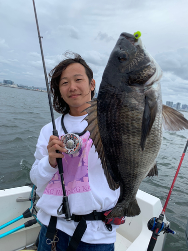 クロダイの釣果