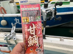 アマダイの釣果