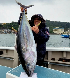 キハダマグロの釣果