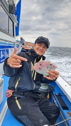 カワハギの釣果