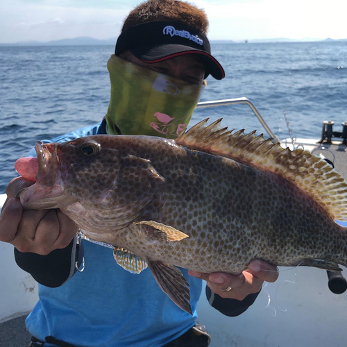 オオモンハタの釣果