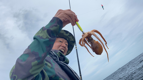 テナガダコの釣果