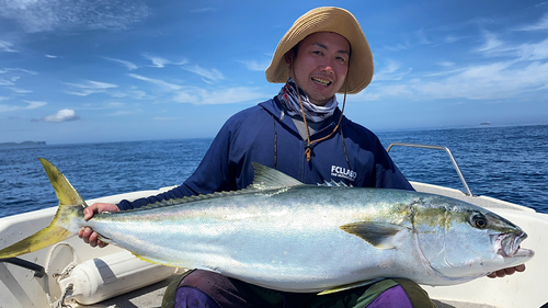 ヒラマサの釣果