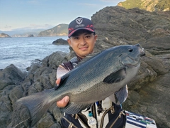 クロの釣果