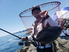 クロの釣果