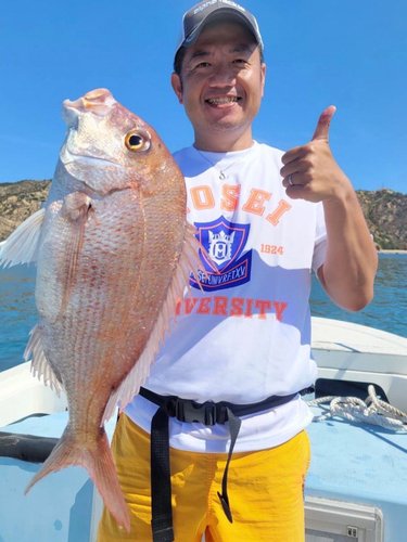 マダイの釣果