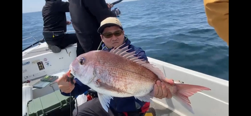 マダイの釣果