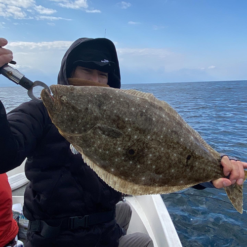 ヒラメの釣果