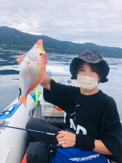 レンコダイの釣果