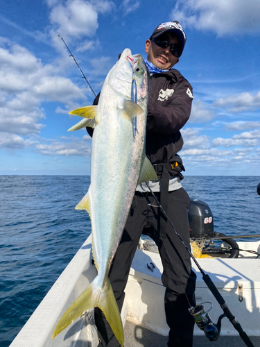 ヒラマサの釣果