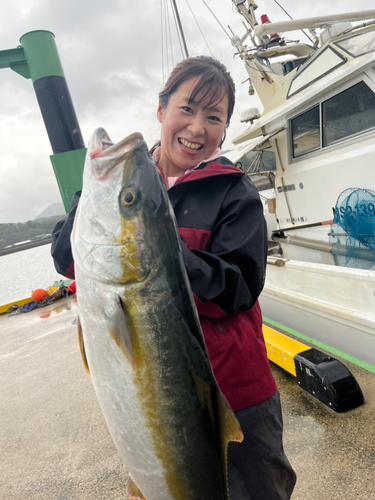 ヒラマサの釣果