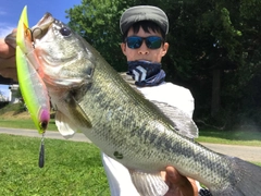 ブラックバスの釣果