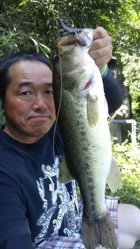 ラージマウスバスの釣果