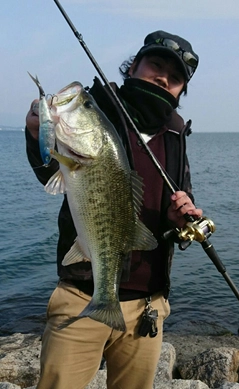 ブラックバスの釣果