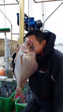 タイの釣果