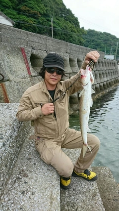 エソの釣果