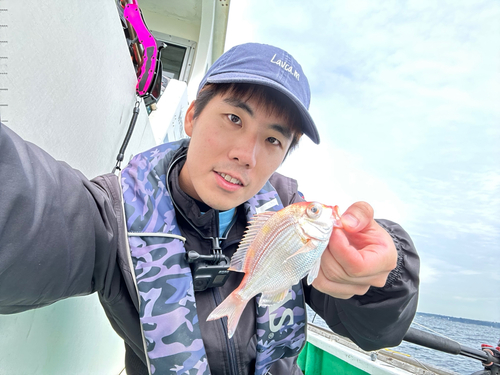 キダイの釣果