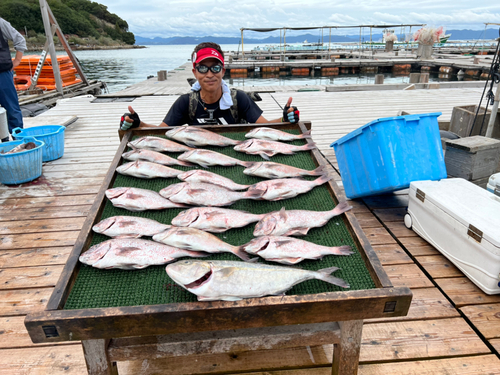 タイの釣果