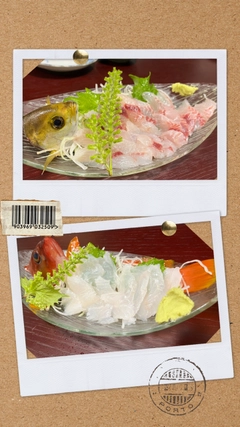 イナダの釣果