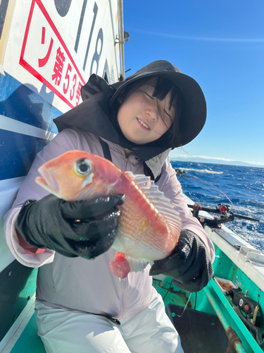 アマダイの釣果