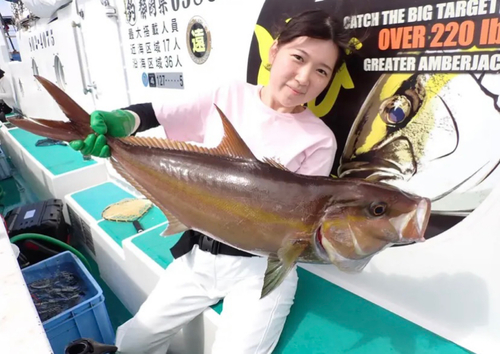 カンパチの釣果