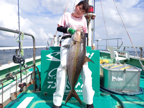 カンパチの釣果